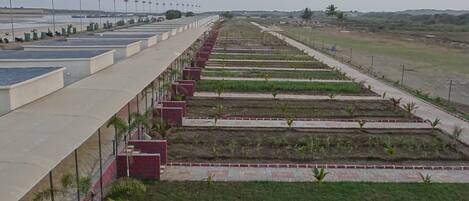 A long, straight pathway lined with small green plants and a series of red and white patterned tiles.