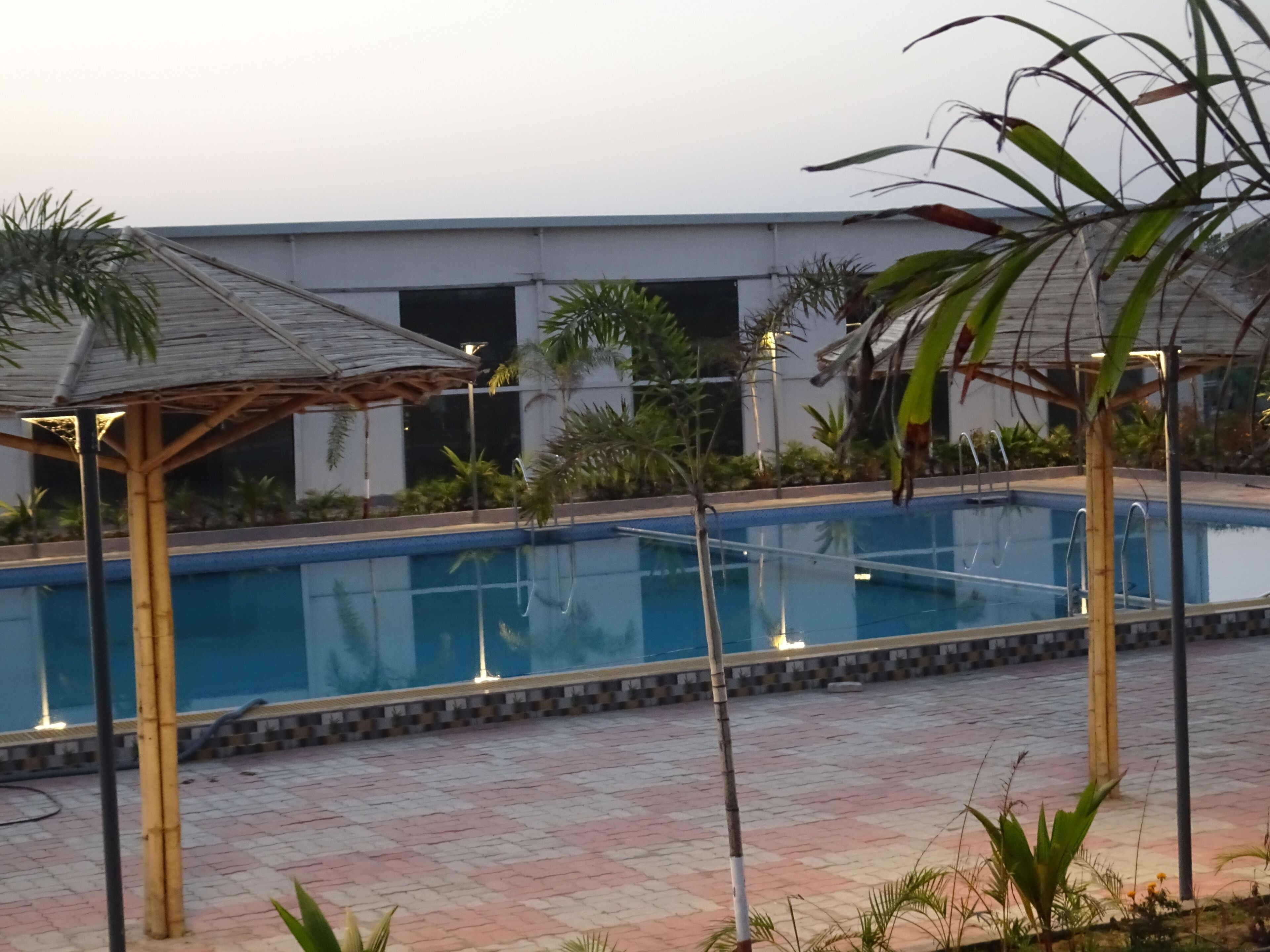 Une piscine dotée d’une terrasse carrelée, entourée de palmiers et agrémentée d’un espace salon abrité.