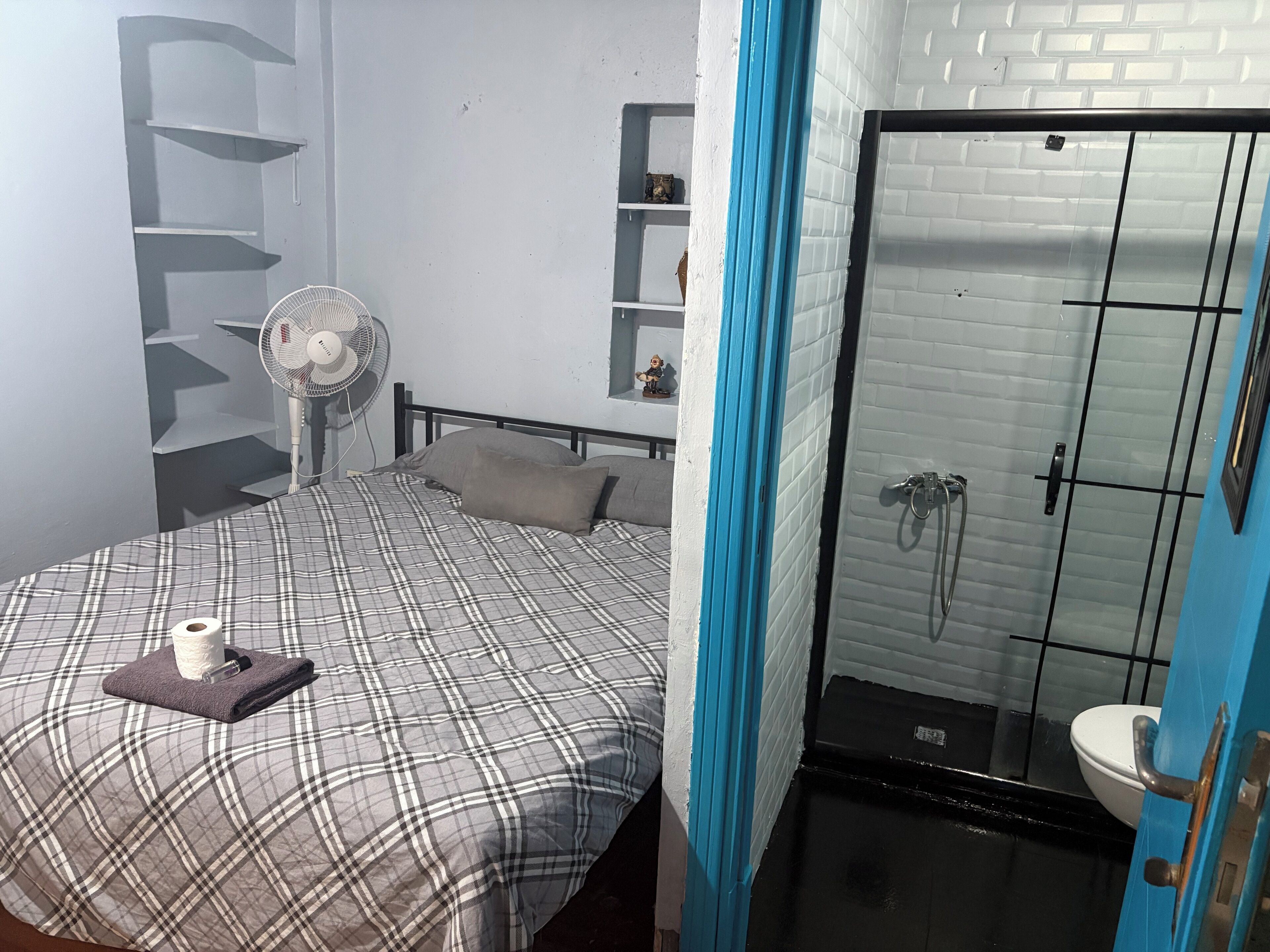 A room with a bed, a fan, a bathroom with a toilet, and a shower.
