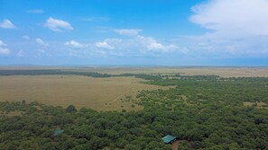 Exterior - Tembo By Jackson  (Maasai Mara)