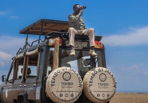 Safari
