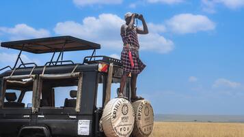 Safari