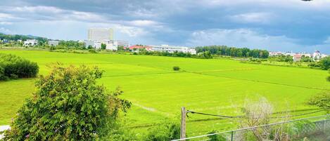 A view from a balcony overlooking a green field with a building in the distance.