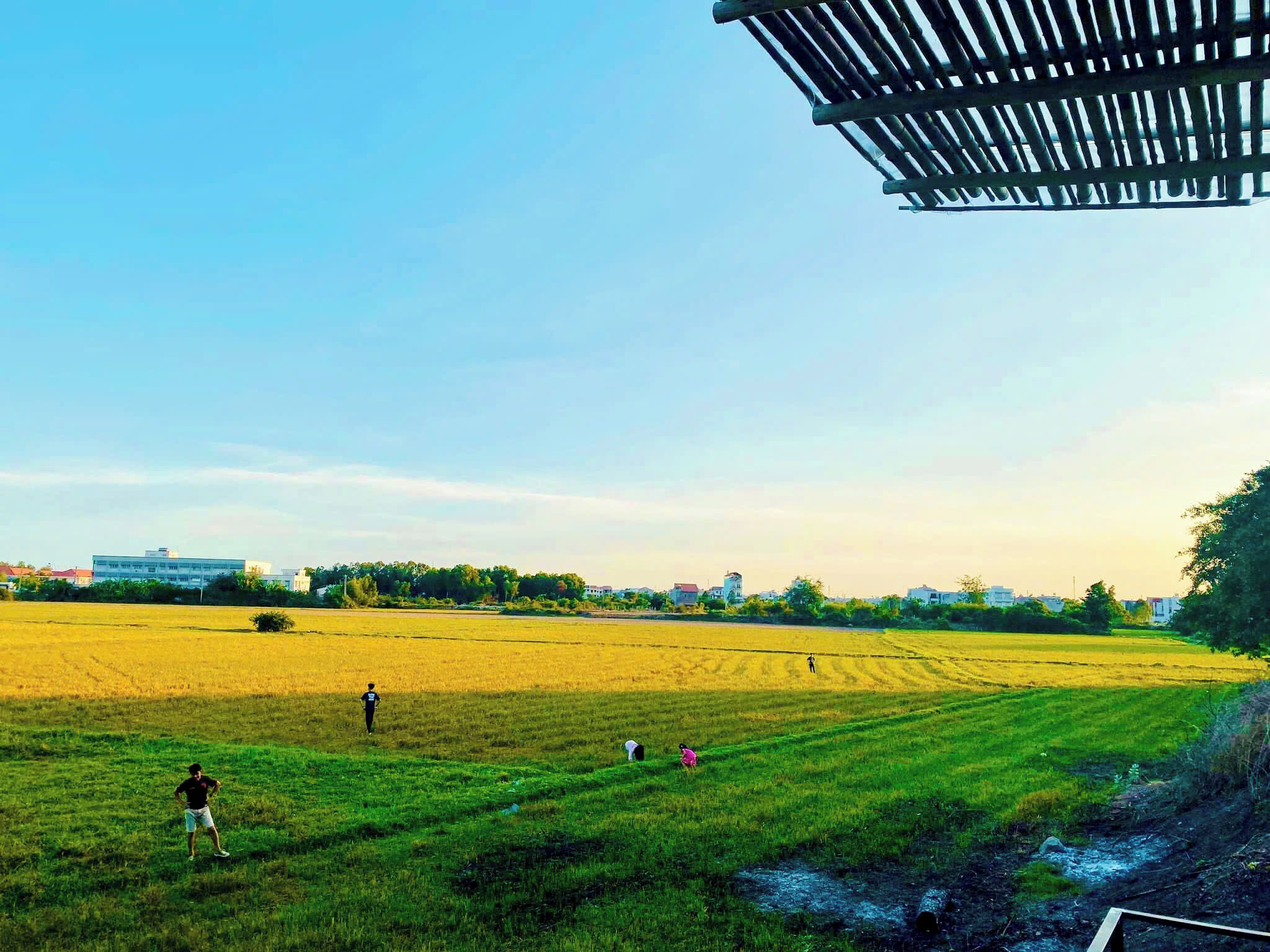 A rural landscape with a field, a few people, and a building in the background.