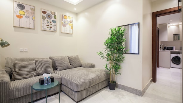 Un salon moderne avec un canapé, une petite table sur laquelle sont posées des bouteilles et une plante en pot. Deux œuvres d’art encadrées ornent le mur, ainsi qu’un miroir. On aperçoit un lave-linge à l’arrière-plan.