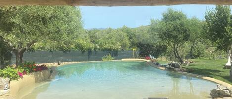 Outdoor pool, sun loungers