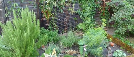 Área da propriedade