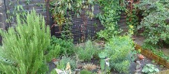 Appartement 'Auszeit Landleben' avec terrasse partagée, jardin partagé et Wi-Fi