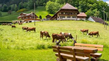 Speisen im Freien