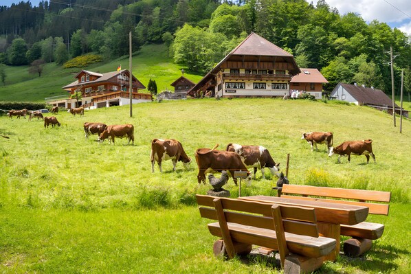 Outdoor dining - Holiday Apartment 'Hofblick' with Shared Pool (Wolfach-Kirnbach)