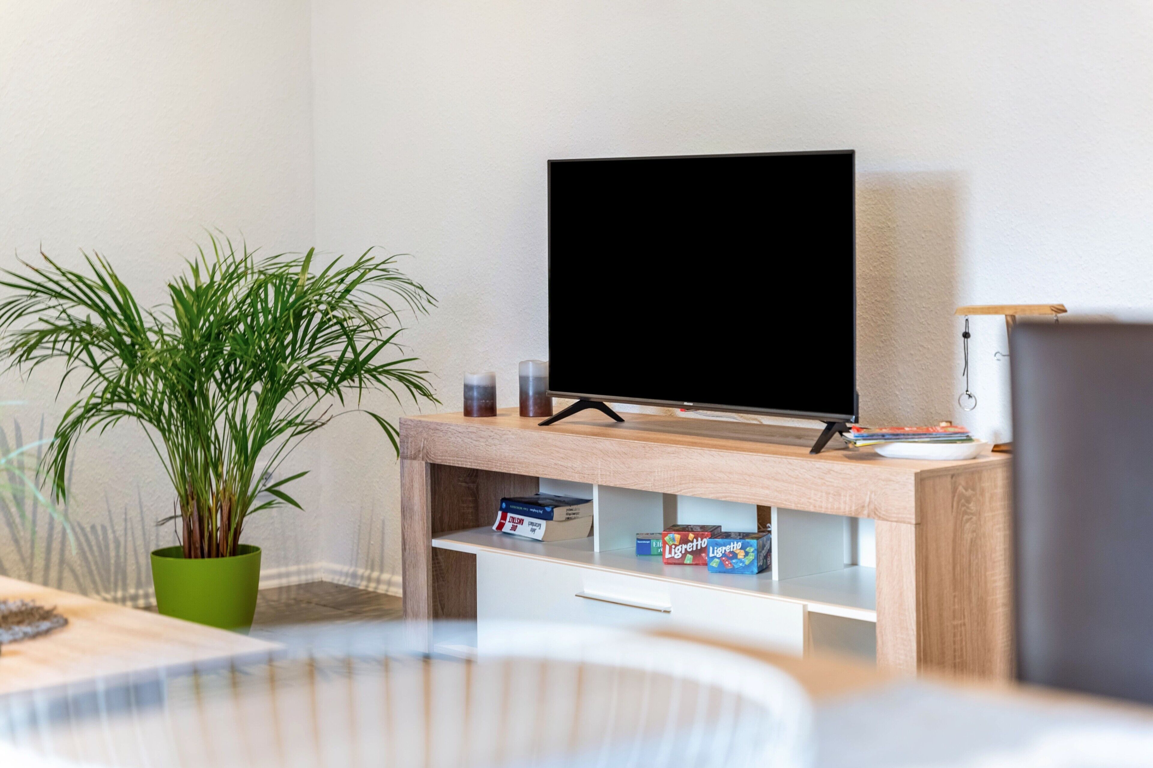 Ett modernt vardagsrum med en platt-TV på ett träställ, en grön krukväxt och ett vitt soffbord.