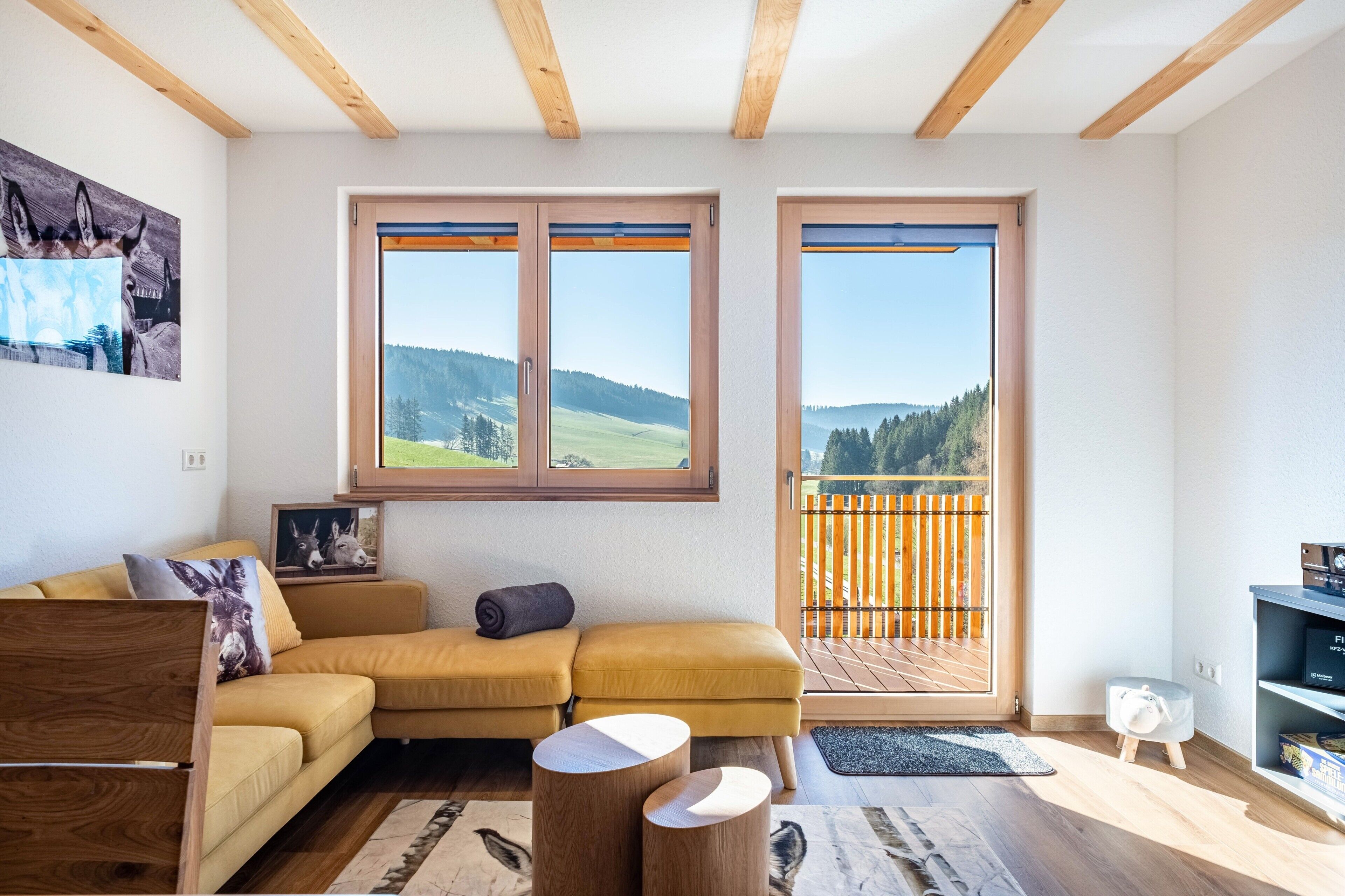 Televisión, reproductor de DVD, mesa de ping pong, estéreo