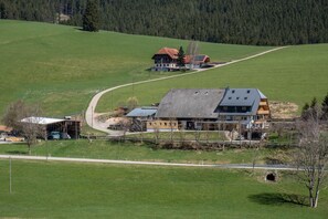 A large building with a sloped roof, surrounded by green fields and a forested hill.