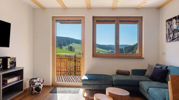 TV, DVD-spiller, bordtennis og stereoanlegg