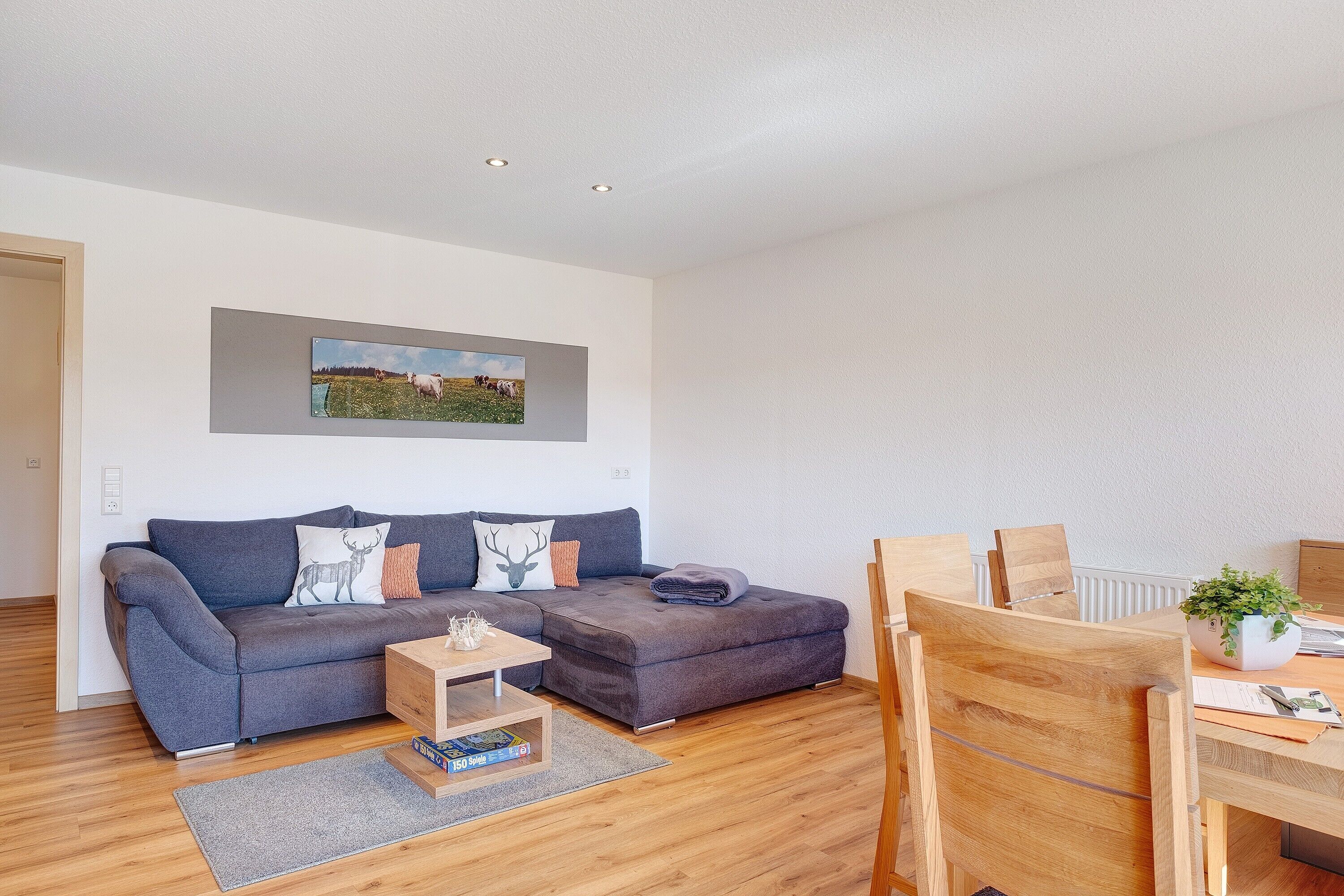 Fernseher, DVD-Player, Tischtennisplatte, Stereoanlage