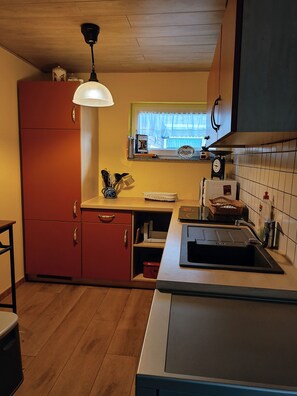 Frigorífico, microondas, horno y placa de cocina