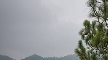 Coin petit déjeuner