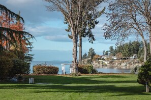 Unclassified image, 3 of 48, button