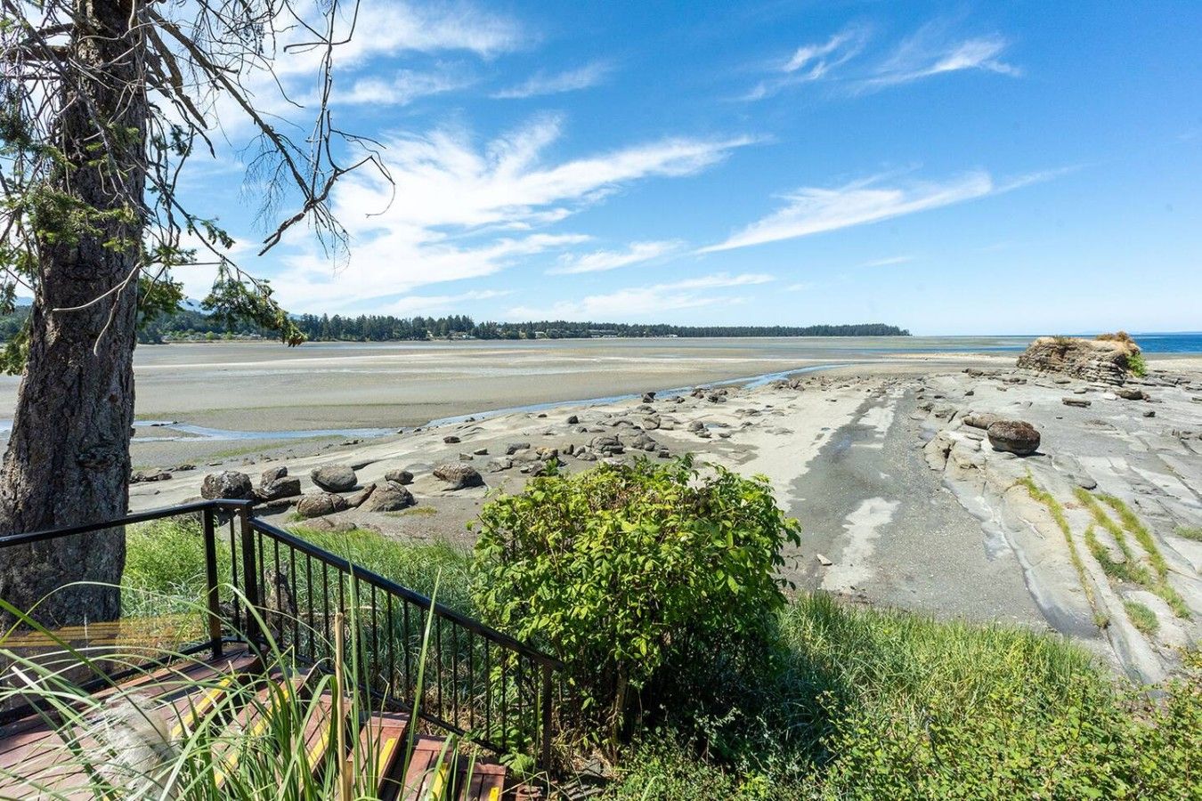 A coastal landscape with a clear sky, a sandy beach, and a tree in the foreground.