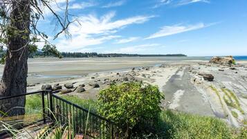 A coastal landscape with a clear sky, a sandy beach, and a tree in the foreground.