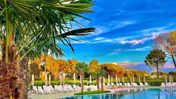A clear blue pool with lounge chairs and umbrellas, surrounded by trees and a palm tree. - Lovely Studio With Seaview - Margarita (Ishëm)
