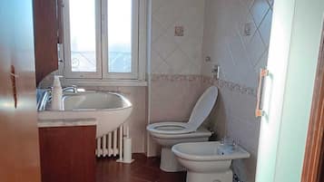 Shower, hair dryer, bidet, towels