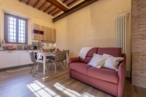 Smart-TV, Kamin