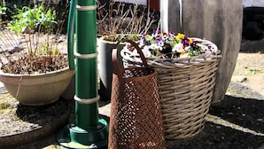 A traditional building with a white facade and red trim, a large planter with flowers, and a green fire hydrant.