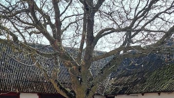 基本公寓, 花園景 | 庭園景