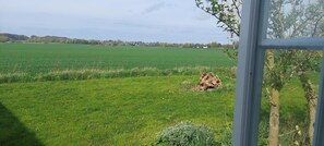 Vue depuis l’hébergement