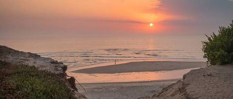 En la playa, arena blanca, 2 bares en la playa