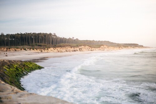 Oporto SurfLodge