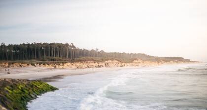 Oporto SurfLodge