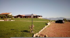 5 bedrooms