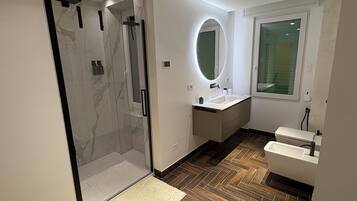 Shower, hair dryer, bidet, towels