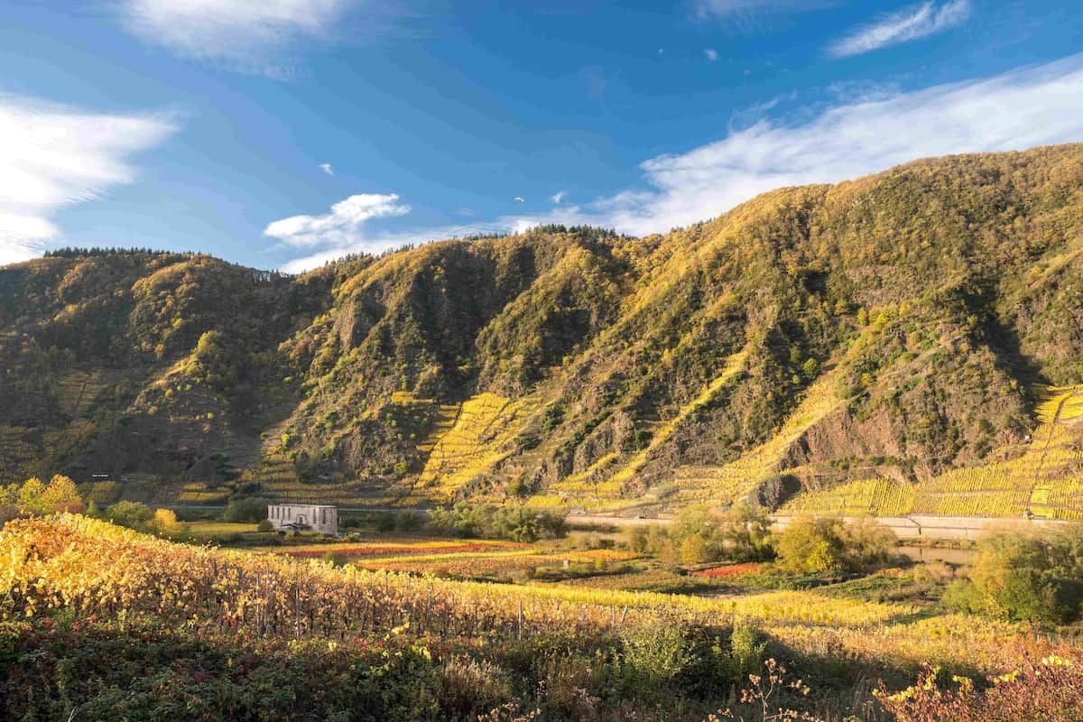 A vineyard with terraced fields and a small building amidst rolling hills.