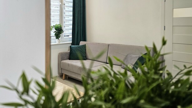 A modern living room with a sofa and a potted plant by the window. - Studio Bajka - 365PAM (Mielno)