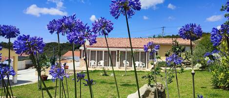 Terrein van de accommodatie