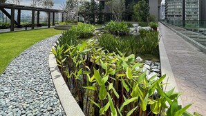 Un bâtiment moderne doté d’un jardin sur le toit, comprenant un sentier, un élément décoratif aquatique et diverses plantes.