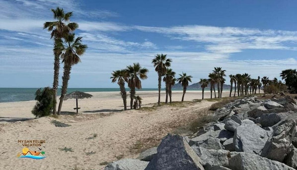 Une plage bordée de palmiers et de rochers.