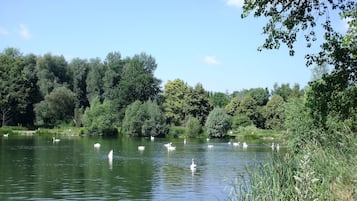 Blick auf die Umgebung