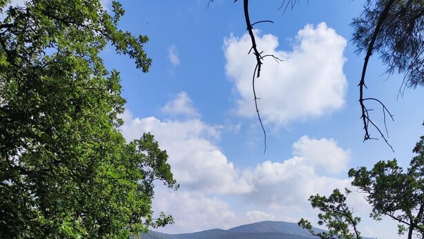 Um resort com várias piscinas, vegetação exuberante e montanhas ao fundo.