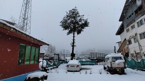A snowy street with a tall communication tower, a snow-covered tree, and parked cars. - Royal palace  (Anantnag)