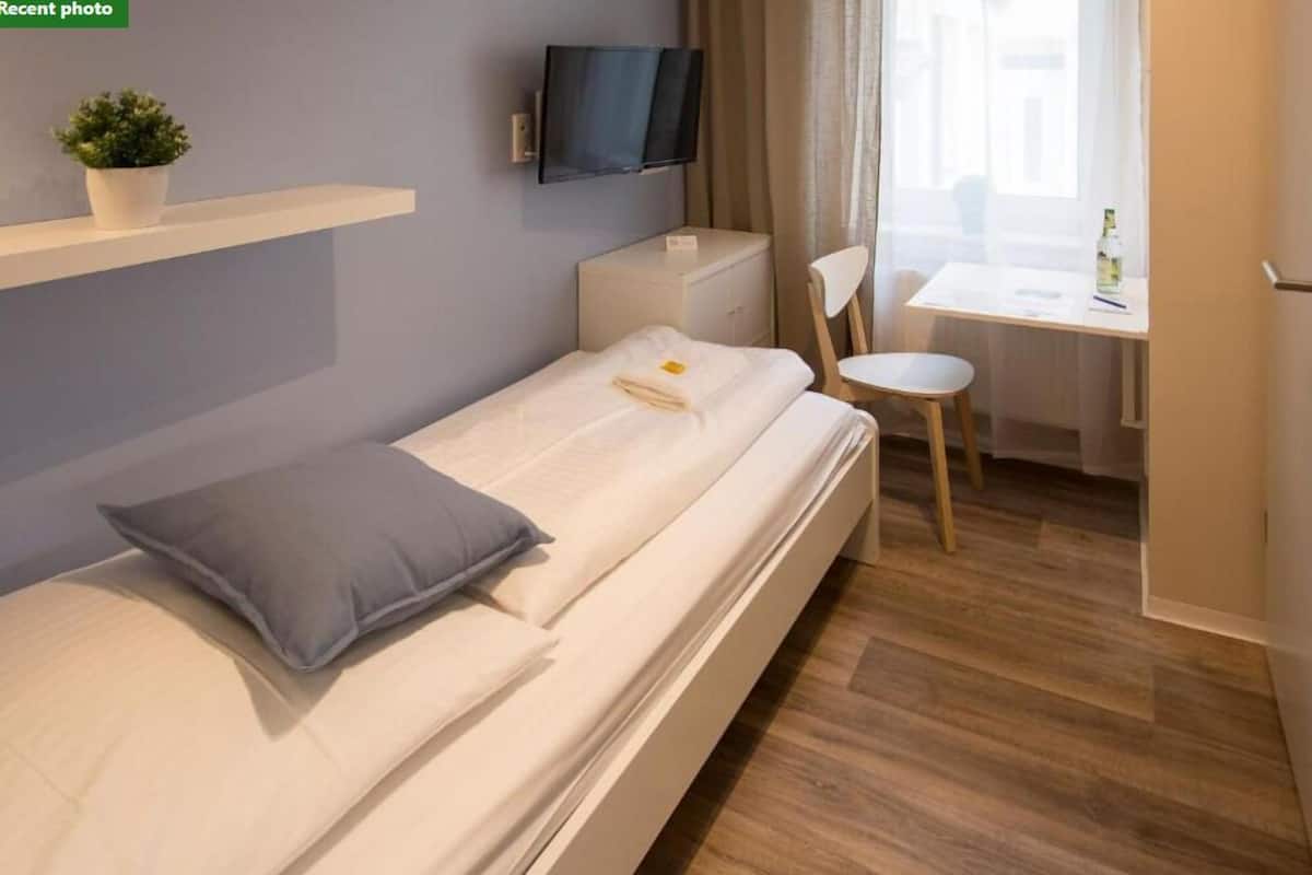 A compact hotel room with a single bed, a small desk, a chair, a TV, and a potted plant.