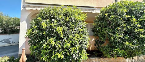 A building with a beige facade, a balcony, and two well-maintained bushes.