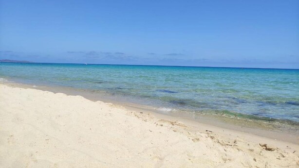 A beach with clear blue water and a sandy shore. - Villa La Dipladenia in Costa Rei (Muravera)
