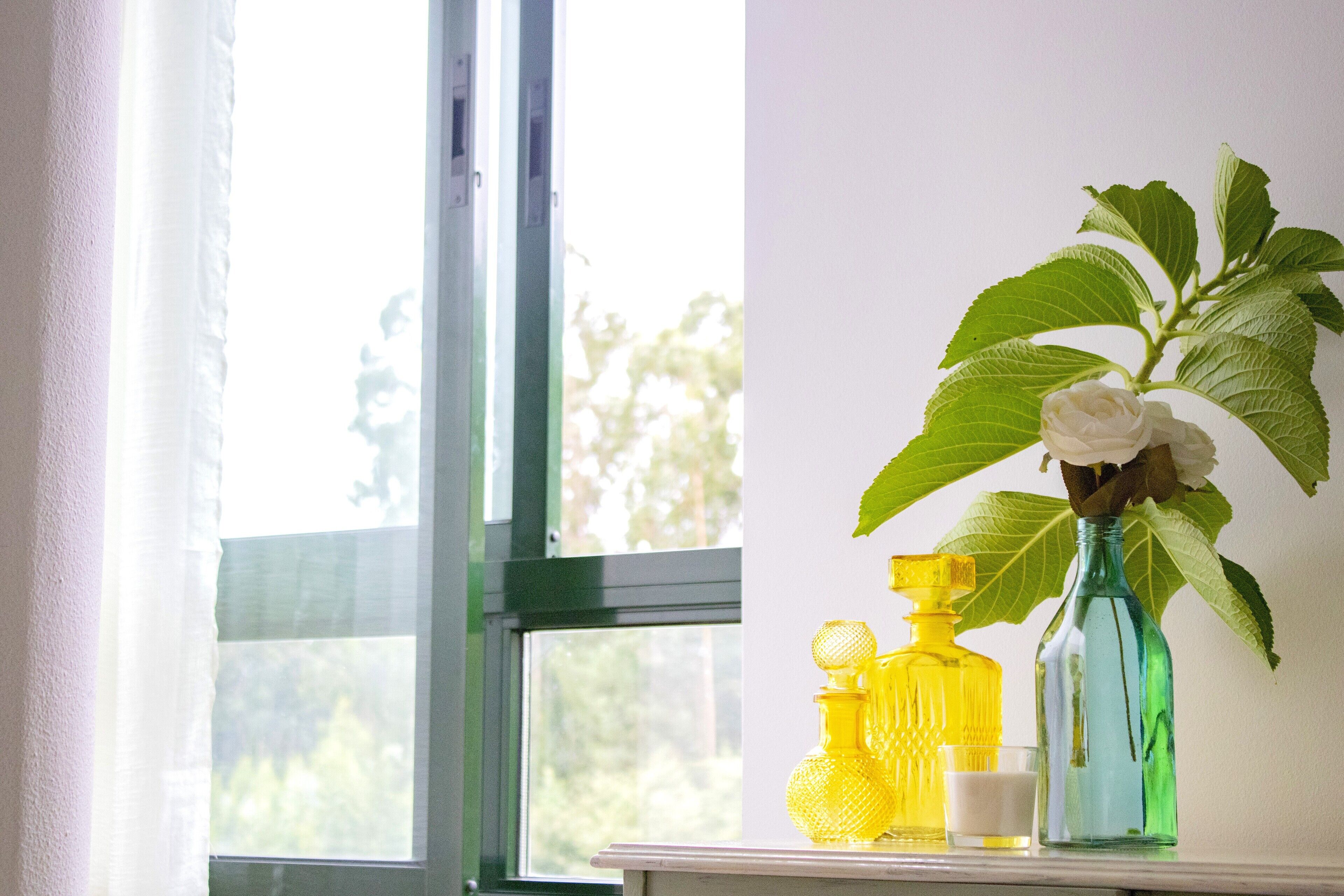 A window with a view of trees, a vase with a white flower, and two glass bottles on a shelf.