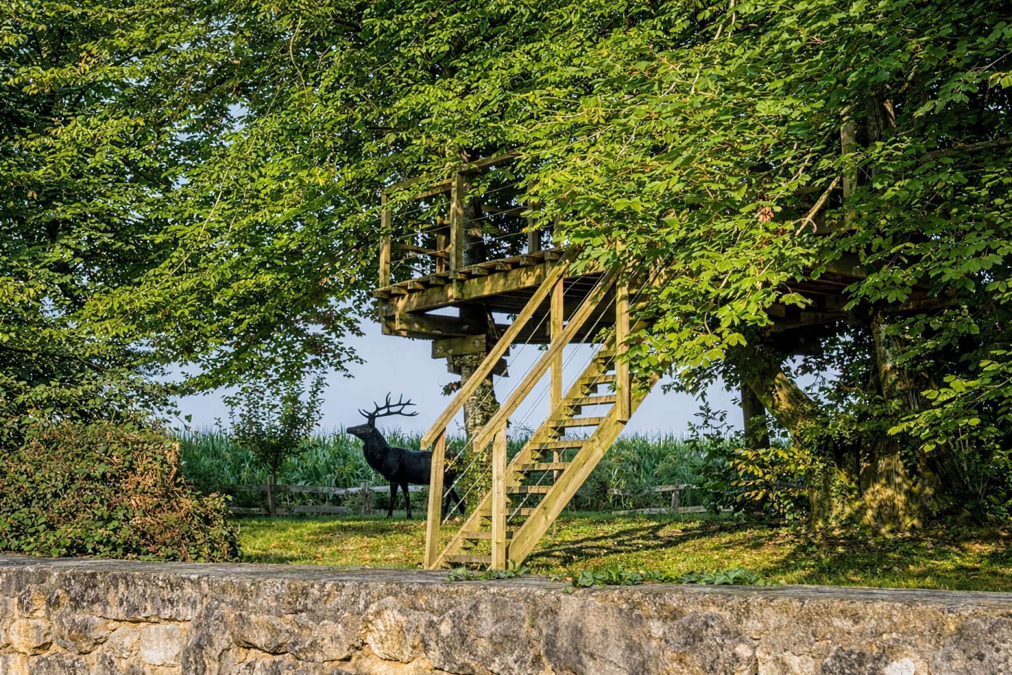 A stone wall with a wooden staircase leading to a wooden platform surrounded by lush green foliage.