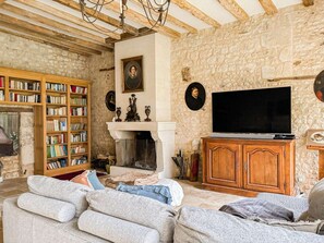 Télévision, cheminée, lecteur de DVD, livres