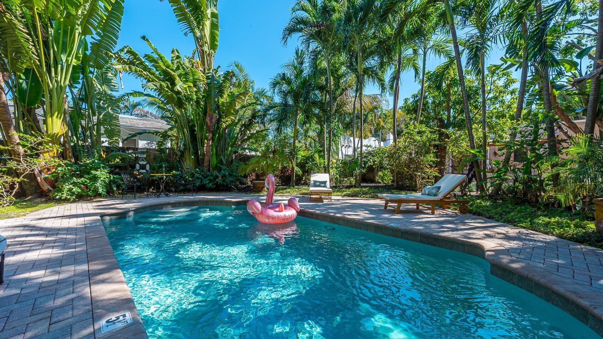 Une piscine agrémentée d’un flotteur en forme de flamant rose, entourée de palmiers et de chaises longues.